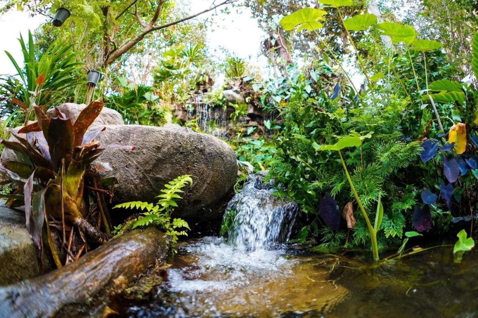 Baan Pingkan Wellness Resort San Kamphaeng Ngoại thất bức ảnh