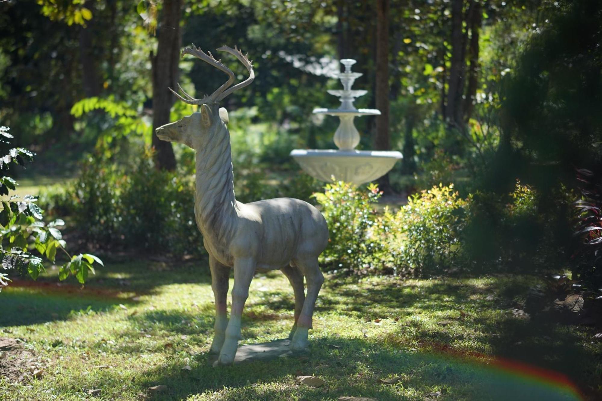 Baan Pingkan Wellness Resort San Kamphaeng Ngoại thất bức ảnh
