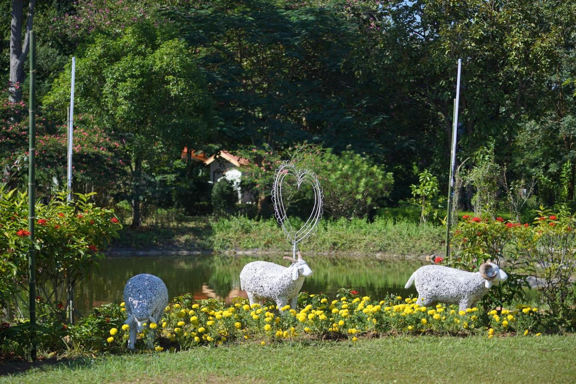 Baan Pingkan Wellness Resort San Kamphaeng Ngoại thất bức ảnh