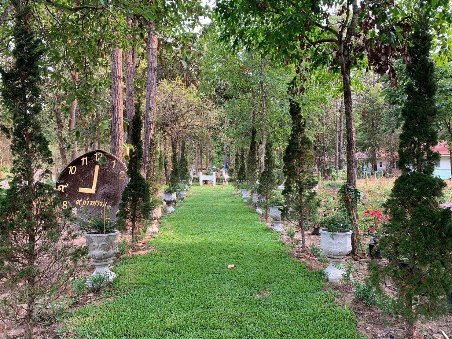 Baan Pingkan Wellness Resort San Kamphaeng Ngoại thất bức ảnh